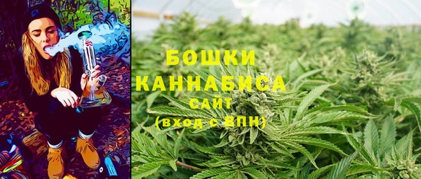 прущие грибы Надым