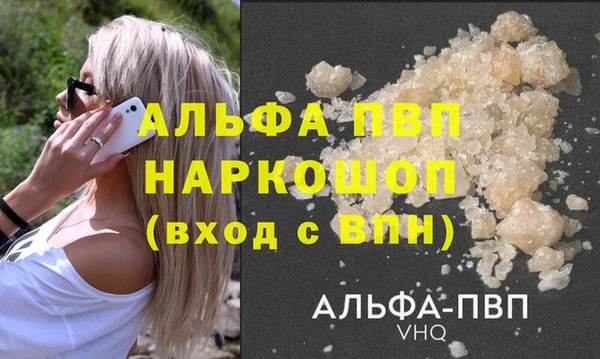 прущие грибы Надым
