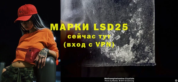 прущие грибы Надым