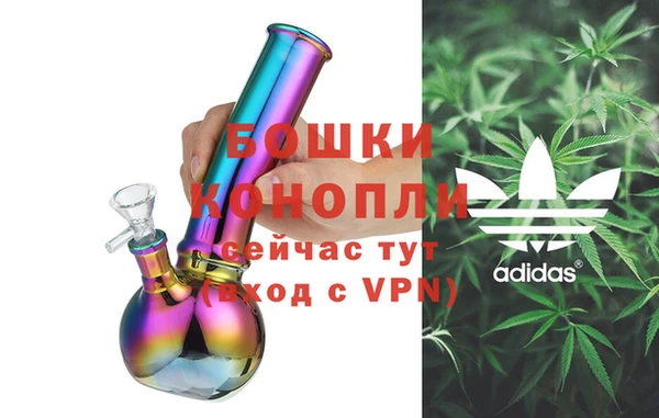 прущие грибы Надым